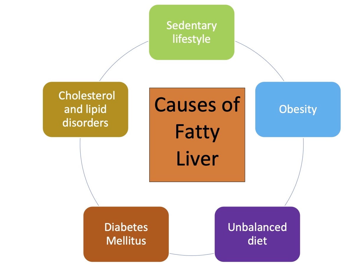 Causes of Fatty Liver