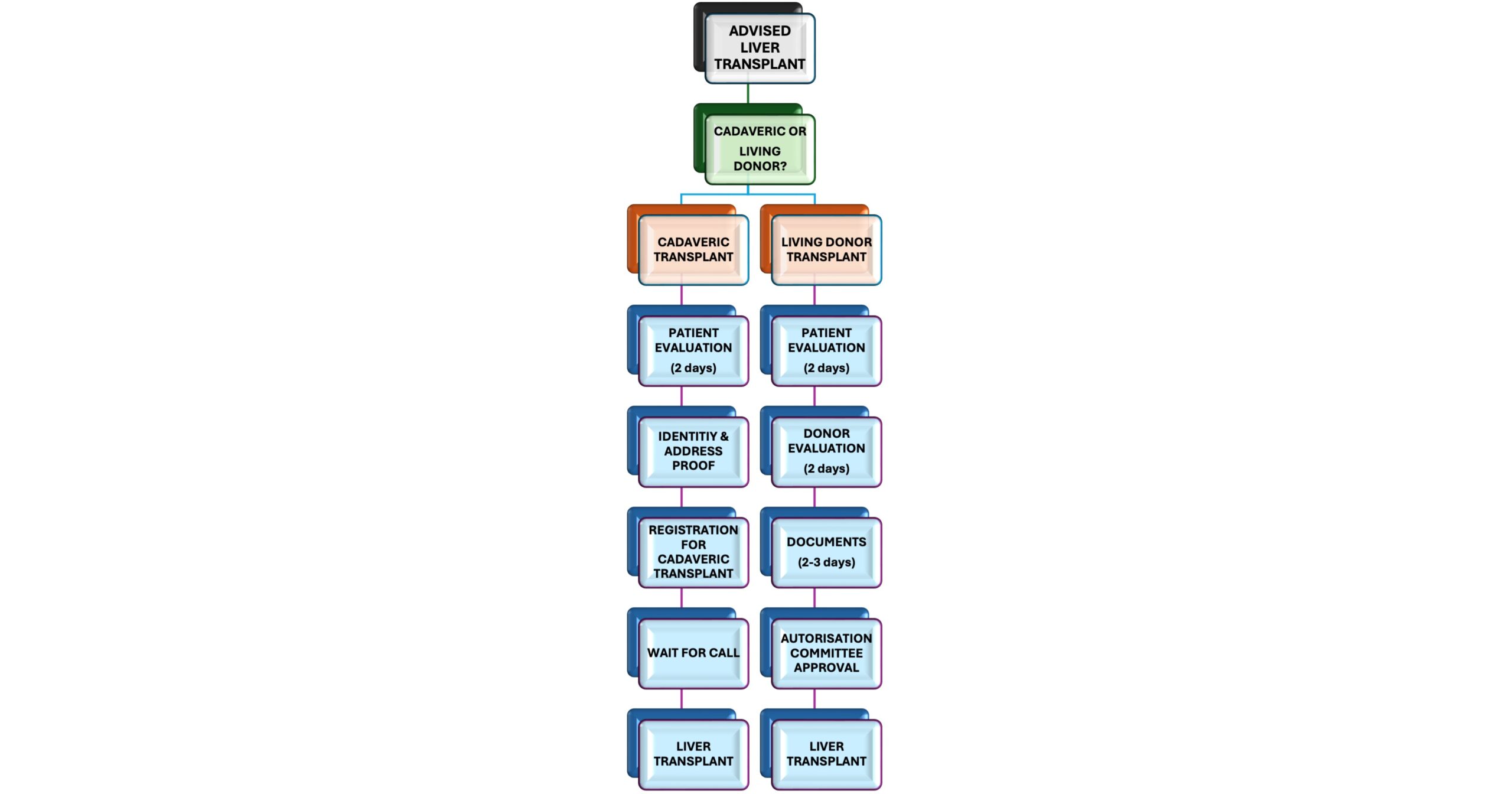 Process of Liver Transplantation