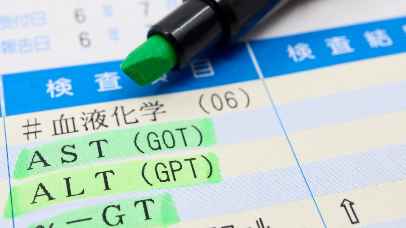 Normal liver enzymes