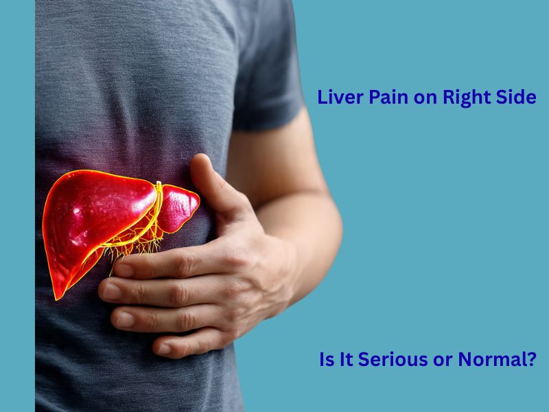 liver pain right side upper abdomen highlighted liver illustration