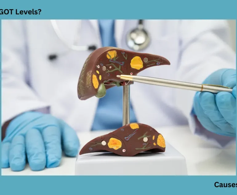 high SGPT SGOT levels liver damage fat accumulation diagram